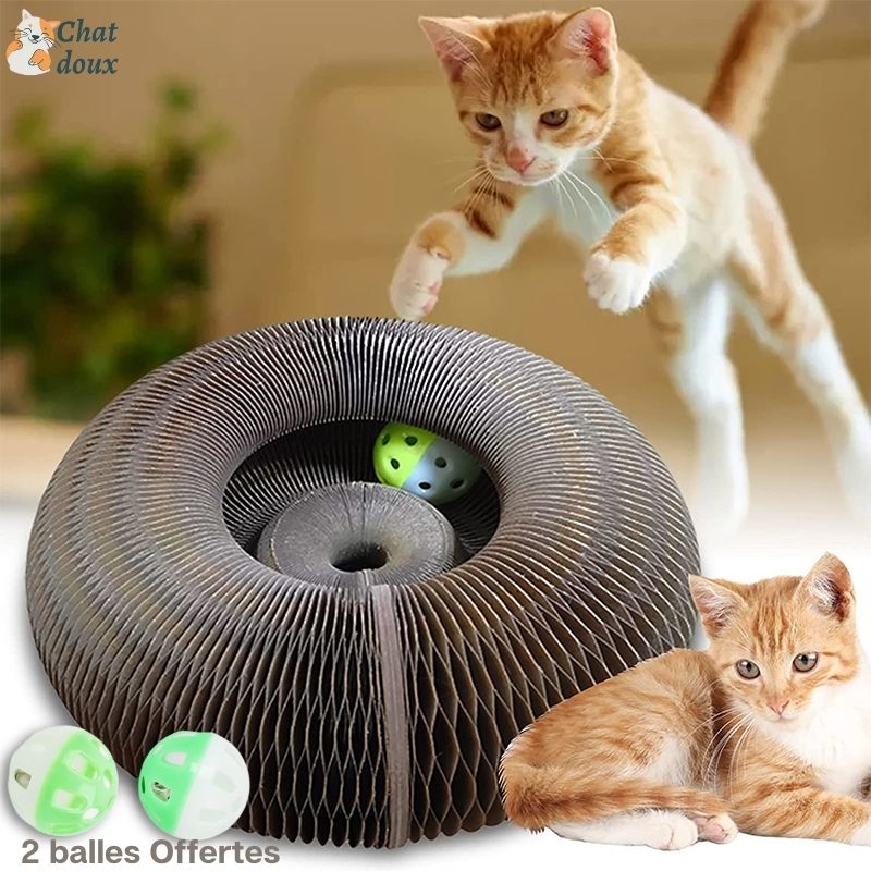 Griffoir innovant pliable et recyclable et jouet interactif pour chat | CartyGrat™