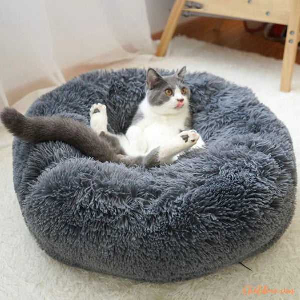 Coussin pour chat - Noir