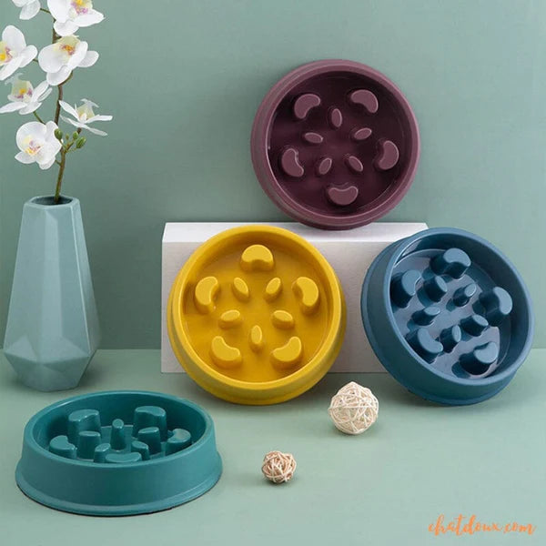 Gamelle anti glouton chat | SlowGam™