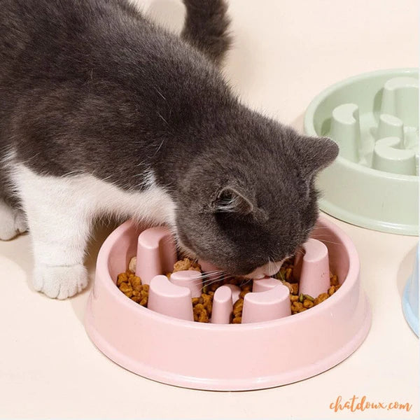 Gamelle anti glouton chat | SlowGam™