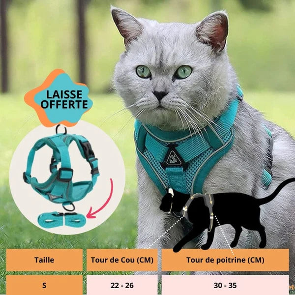 Harnais chat anti fugue | CatOut™