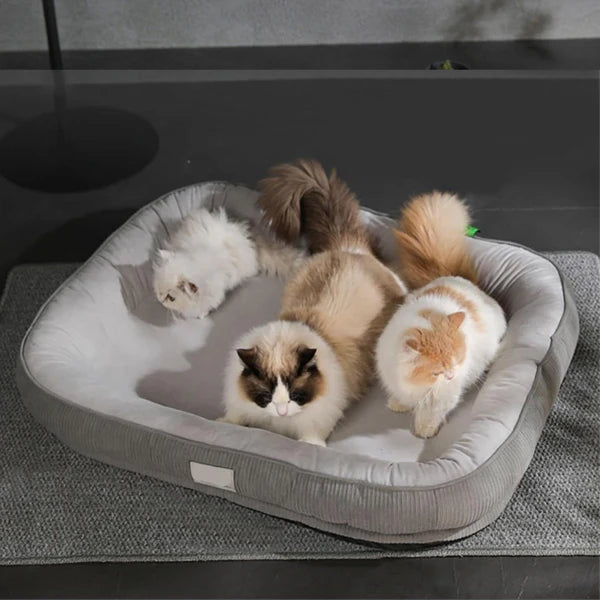 Panier chat | Pavo™