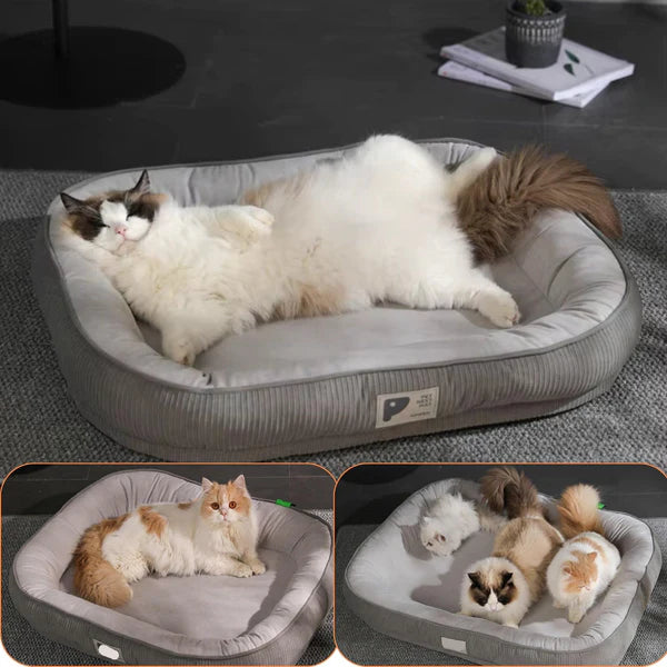 Panier chat | Pavo™